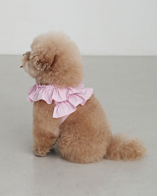 CAPENESS NO.19_PINK STRIPE