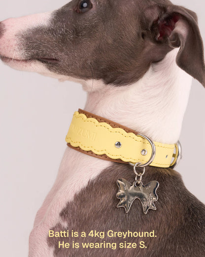 【予約】Scalloped Leather Collar / 3Color