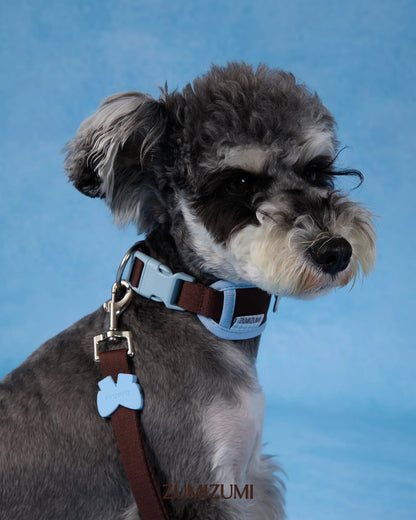 【予約】Neck Protection Pet Collar / Classic (Brown・Blue)