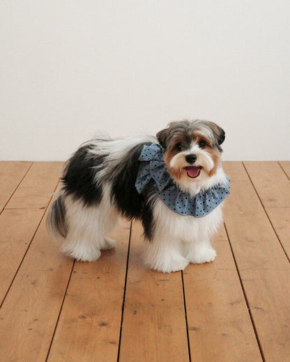 CAPENESS NO.22 leash _ Dot Denim