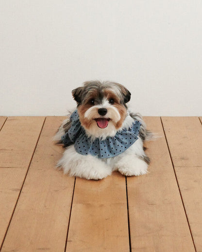CAPENESS NO.22 leash _ Dot Denim