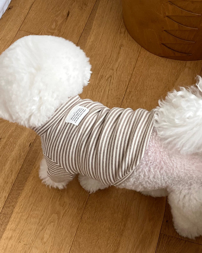 Everyday Stripe Turtle-Neck / 4Color