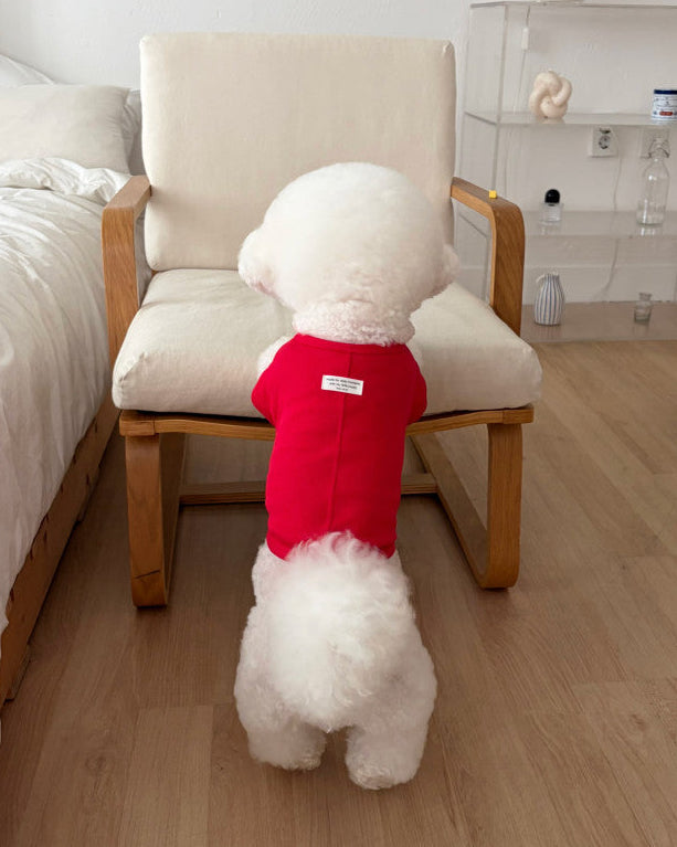 Like Daily T-Shirt / 4Color