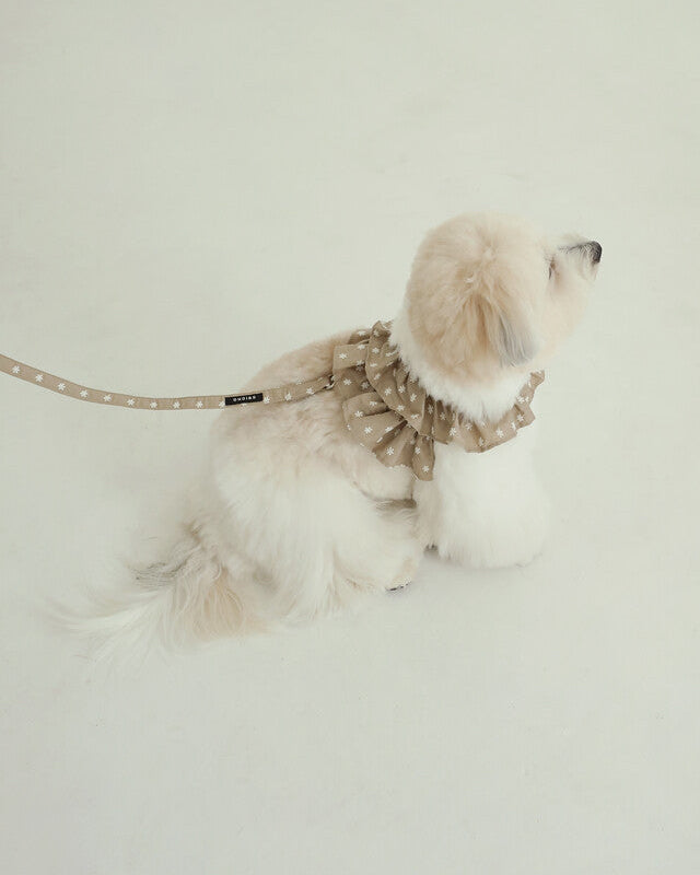 CAPENESS NO.23leash _ Beige