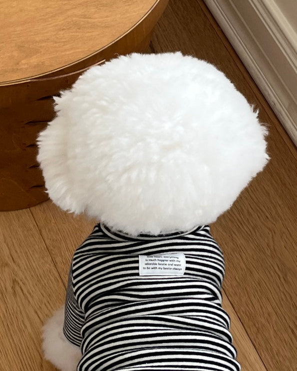 Everyday Stripe Turtle-Neck / 4Color