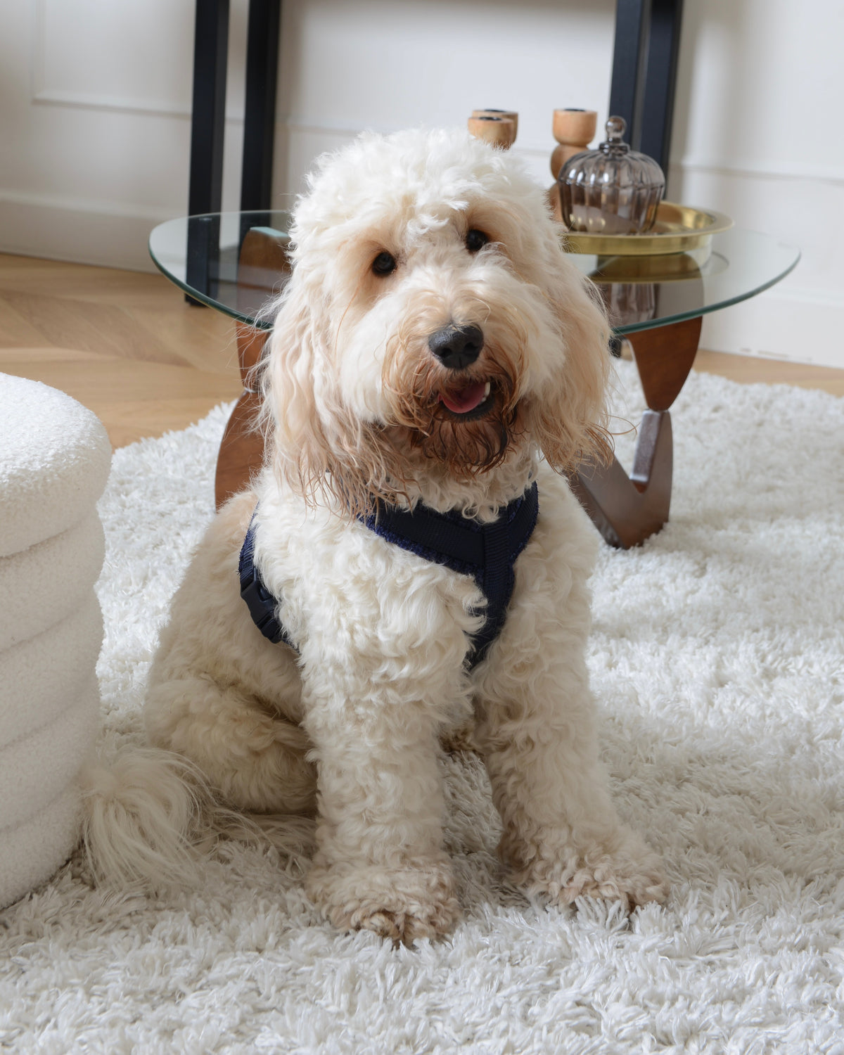 Tweed Harness