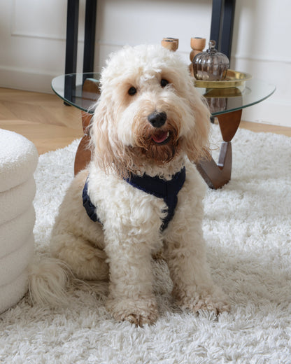 Tweed Harness