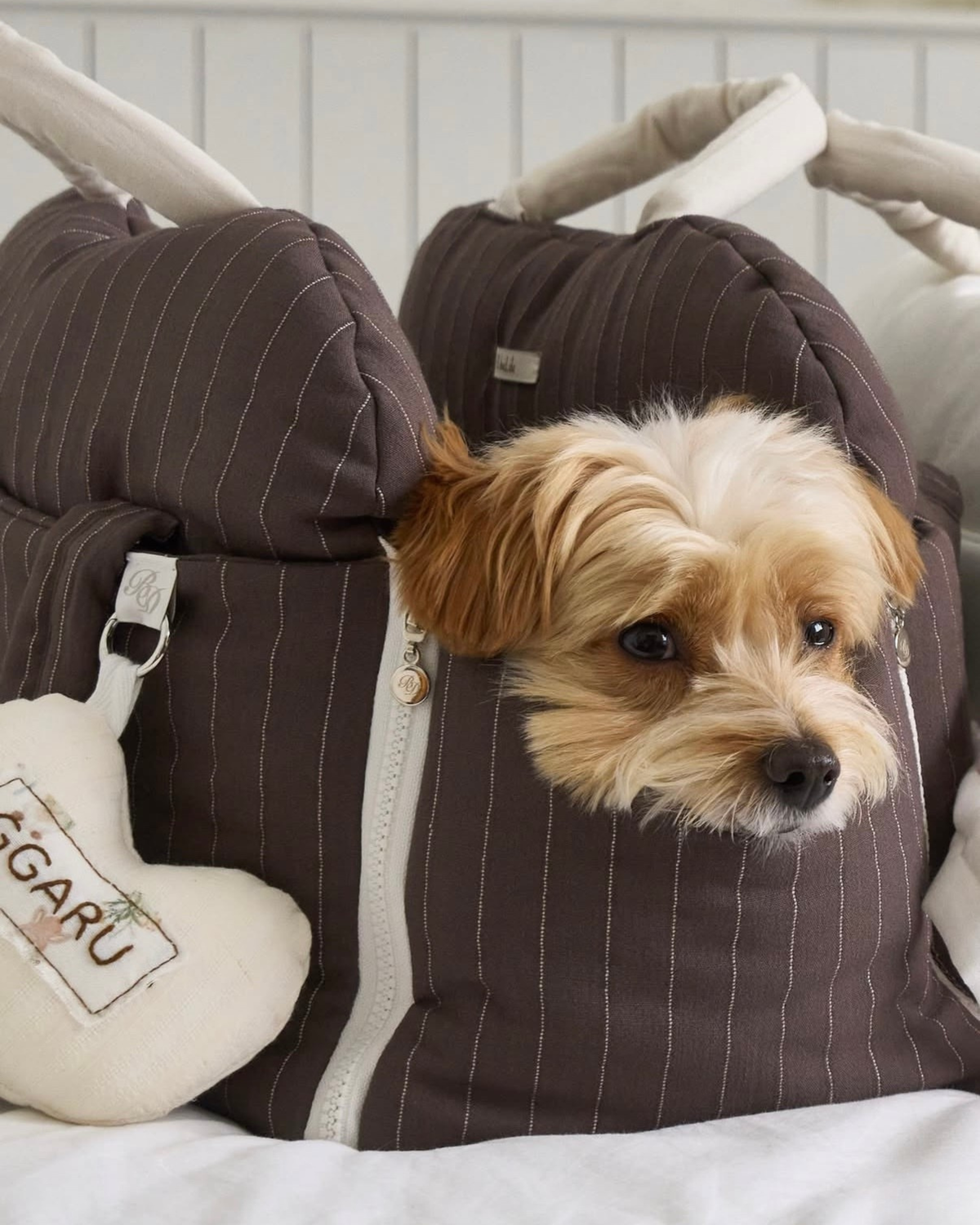 26FW NEW | Cuddle-Bag / Cocoa