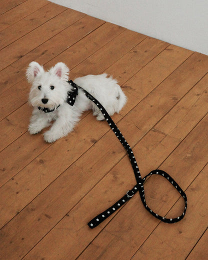 CAPENESS NO.24 leash _ Black