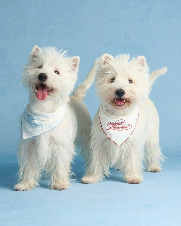【予約】Happily Ever After Bandana / 2Color