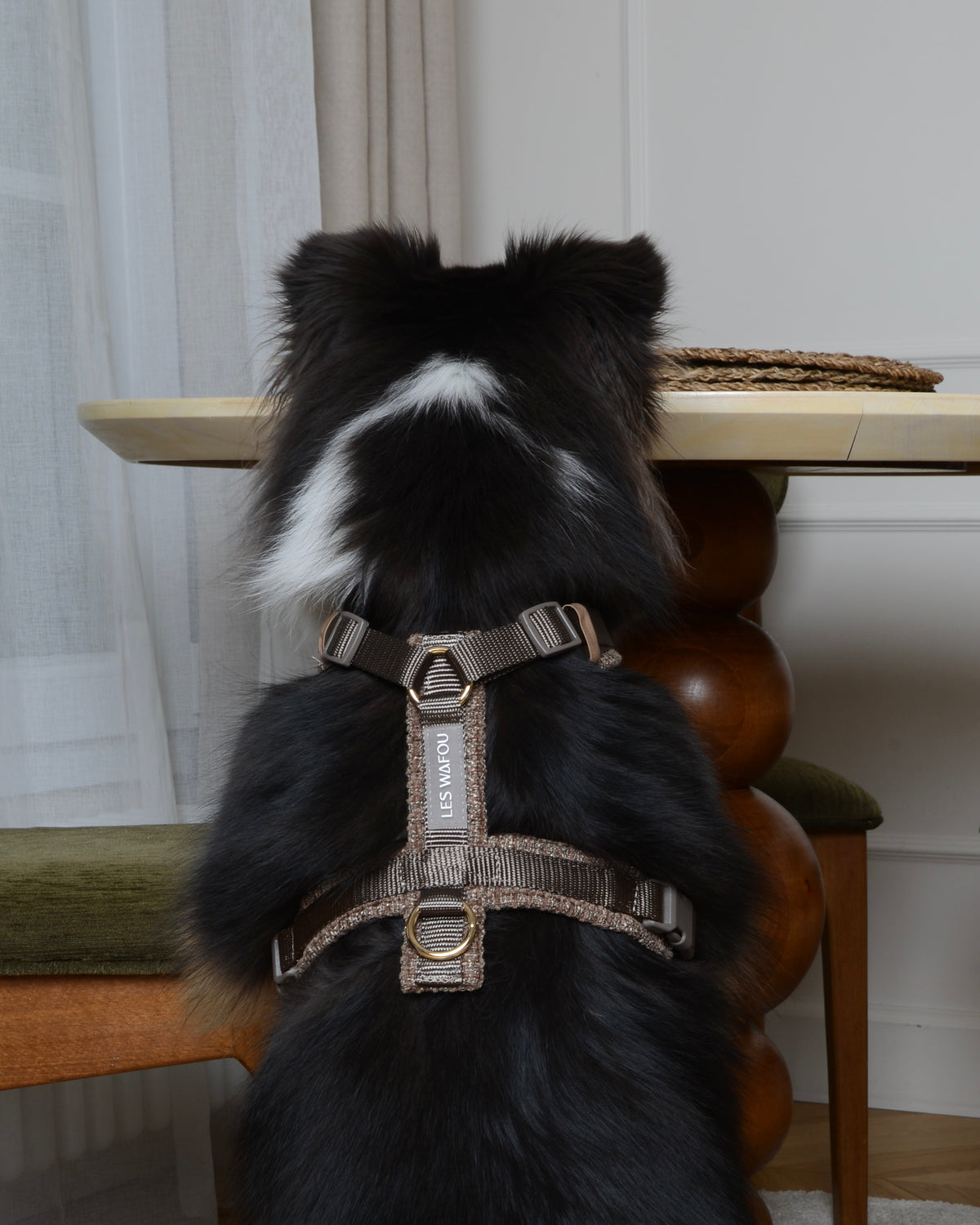 Tweed Harness