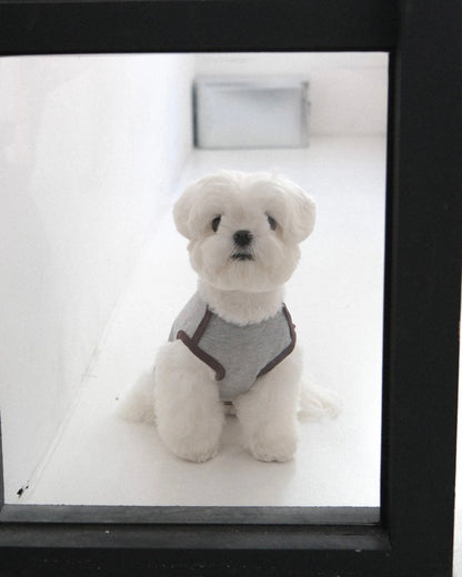 グレーのBIMEEドッグウェアを着た白い犬（窓辺）