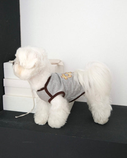 グレーのBIMEEドッグウェアを着た白い犬（横）