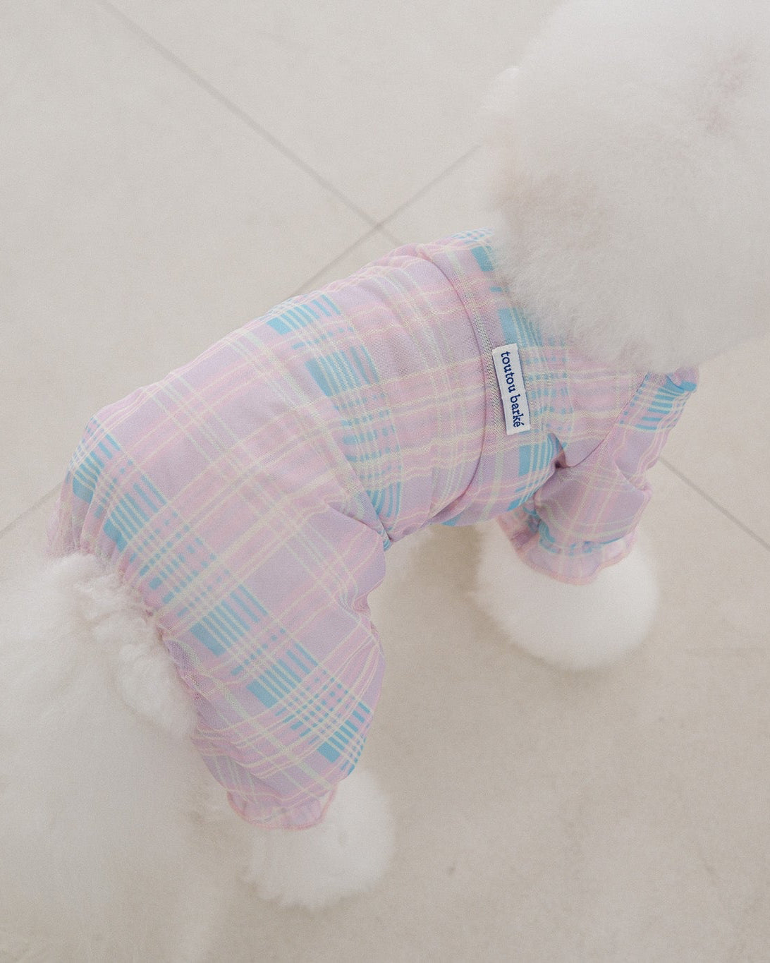ピンクチェックのBIMEEドッグウェアを着た犬（横）