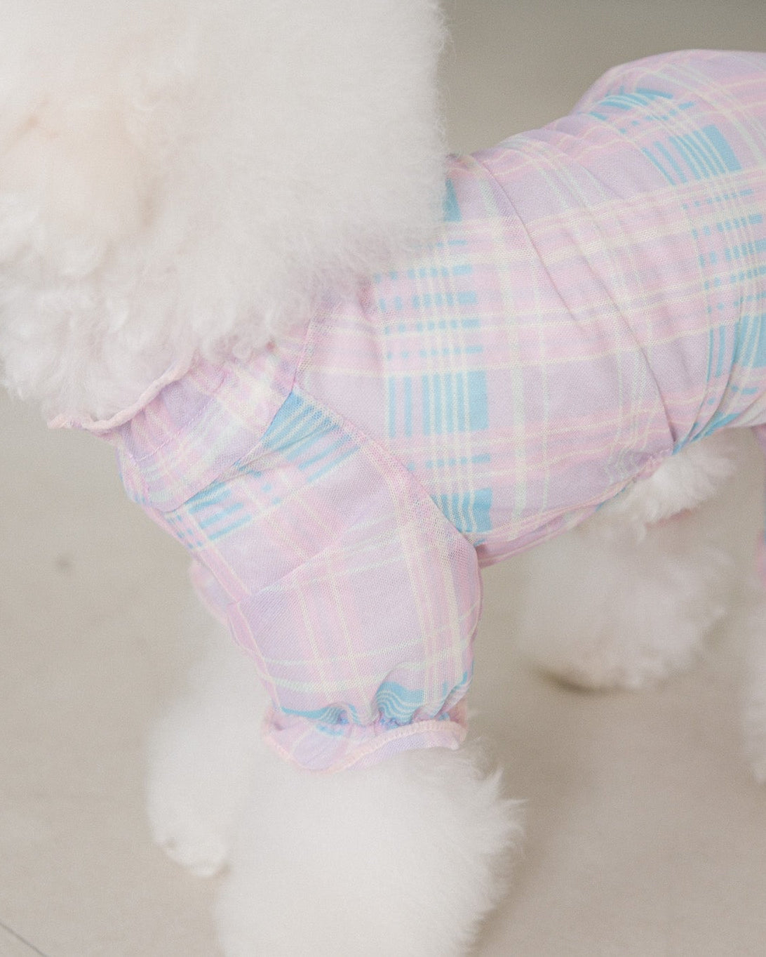 ピンクチェックのBIMEEドッグウェアを着た犬（横）