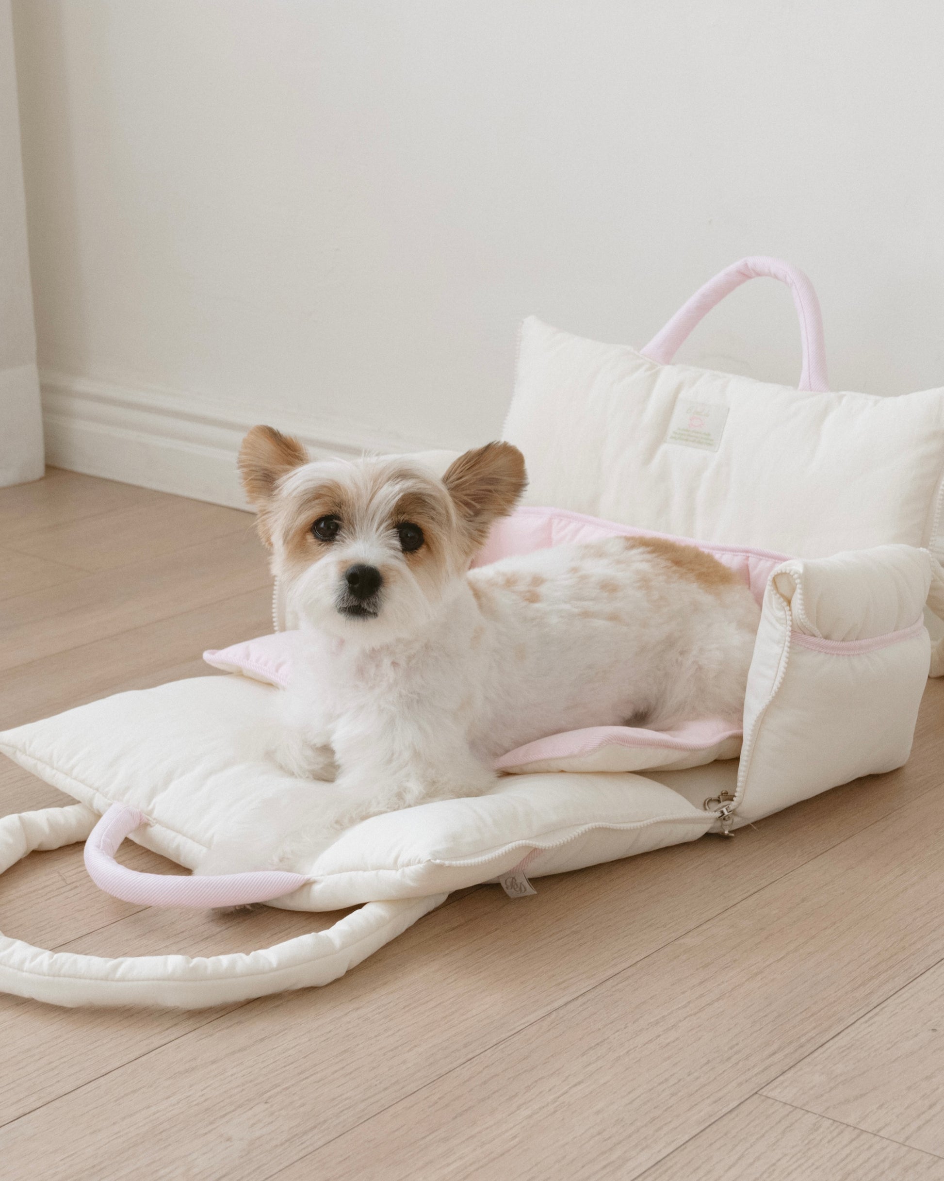 BIMEEドッグキャリーバッグとマットでくつろぐ犬