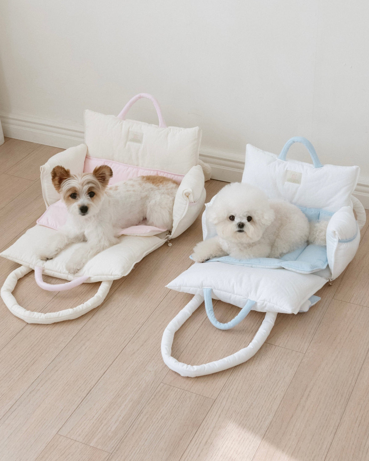 BIMEEドッグキャリーバッグに入った2匹の小型犬