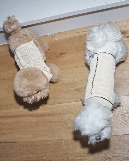 ニットBIMEEドッグウェアを着た2匹の犬（寝転ぶ）