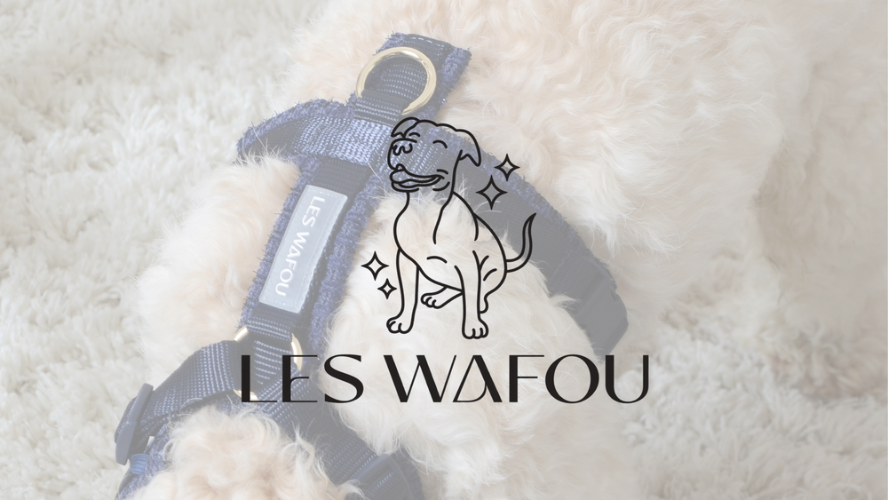 LES WAFOU