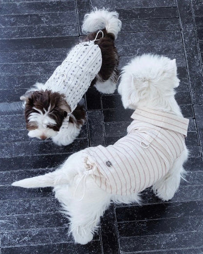 ストライプニットのBIMEEドッグウェアを着た2匹の犬（屋外）