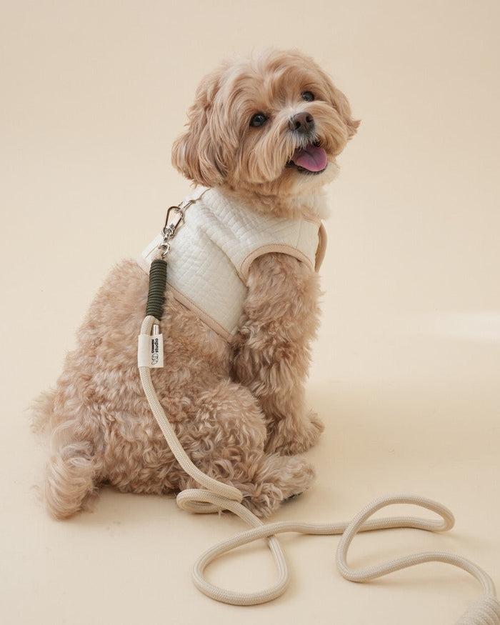 Organic Leash / 2Color