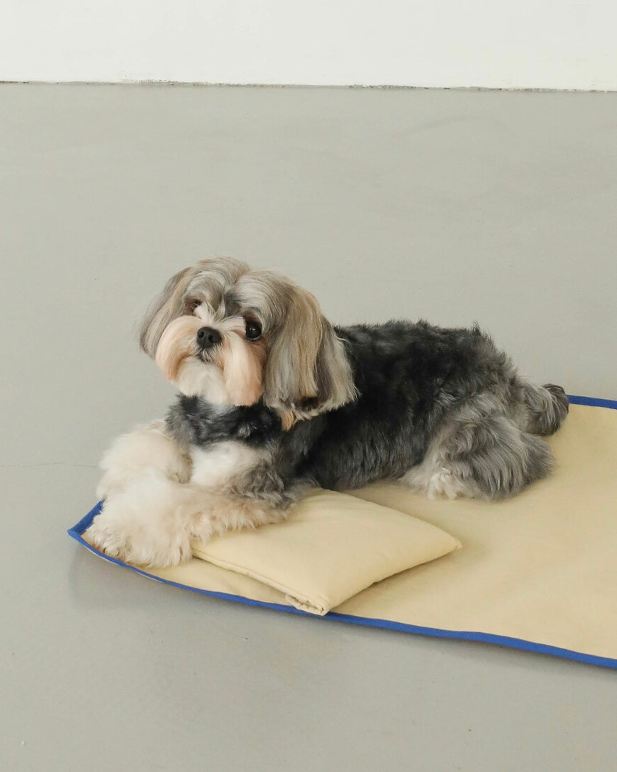ベージュのBIMEEピクニックマットに寝そべる犬