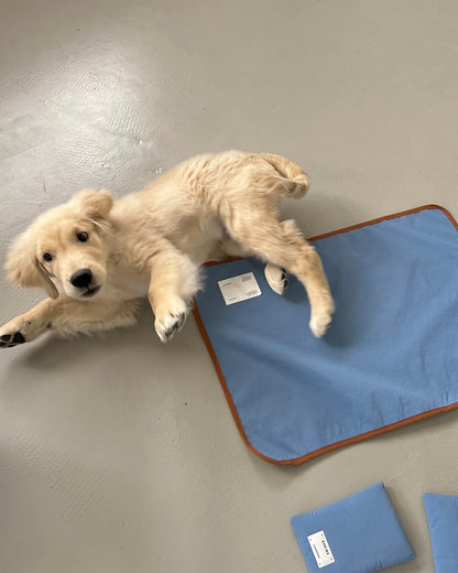 青いBIMEEクールマットに寝そべるゴールデンレトリバーの子犬
